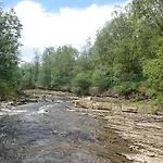 Bustrycki