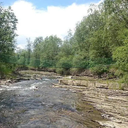 Bustrycki