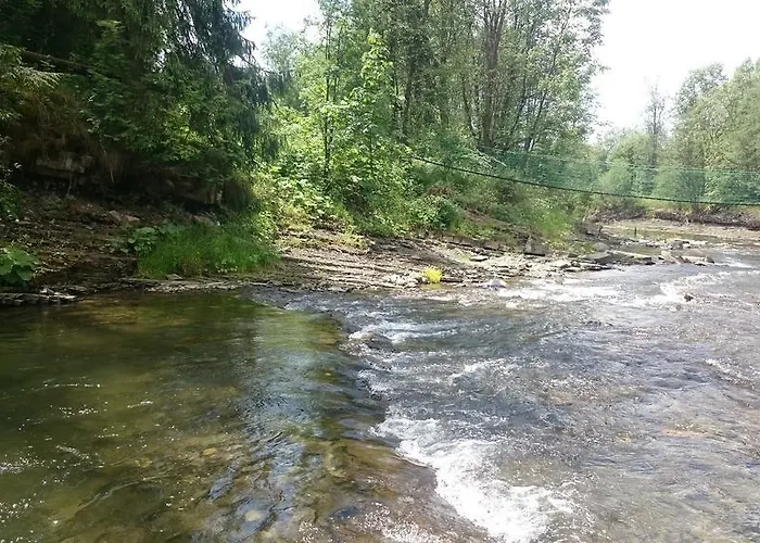 Bustrycki * بورونين